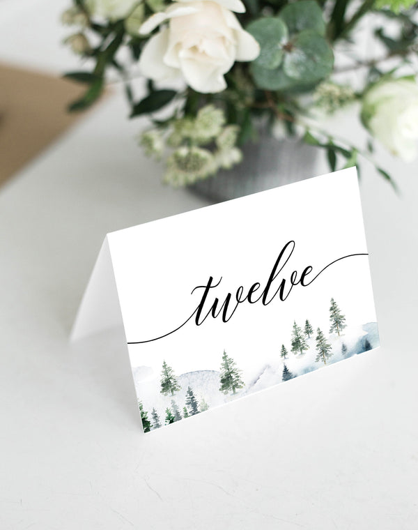 Christmas wedding table cards, Winter wedding table numbers, Tent table numbers #WNT020LWT