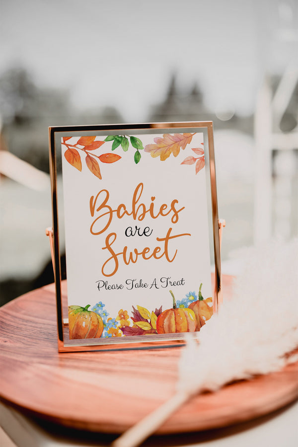 Babies Are Sweet sign, Pumpkin Sign, Baby shower sign, Fall Pumpkin baby shower stationery #PumpkinLWT