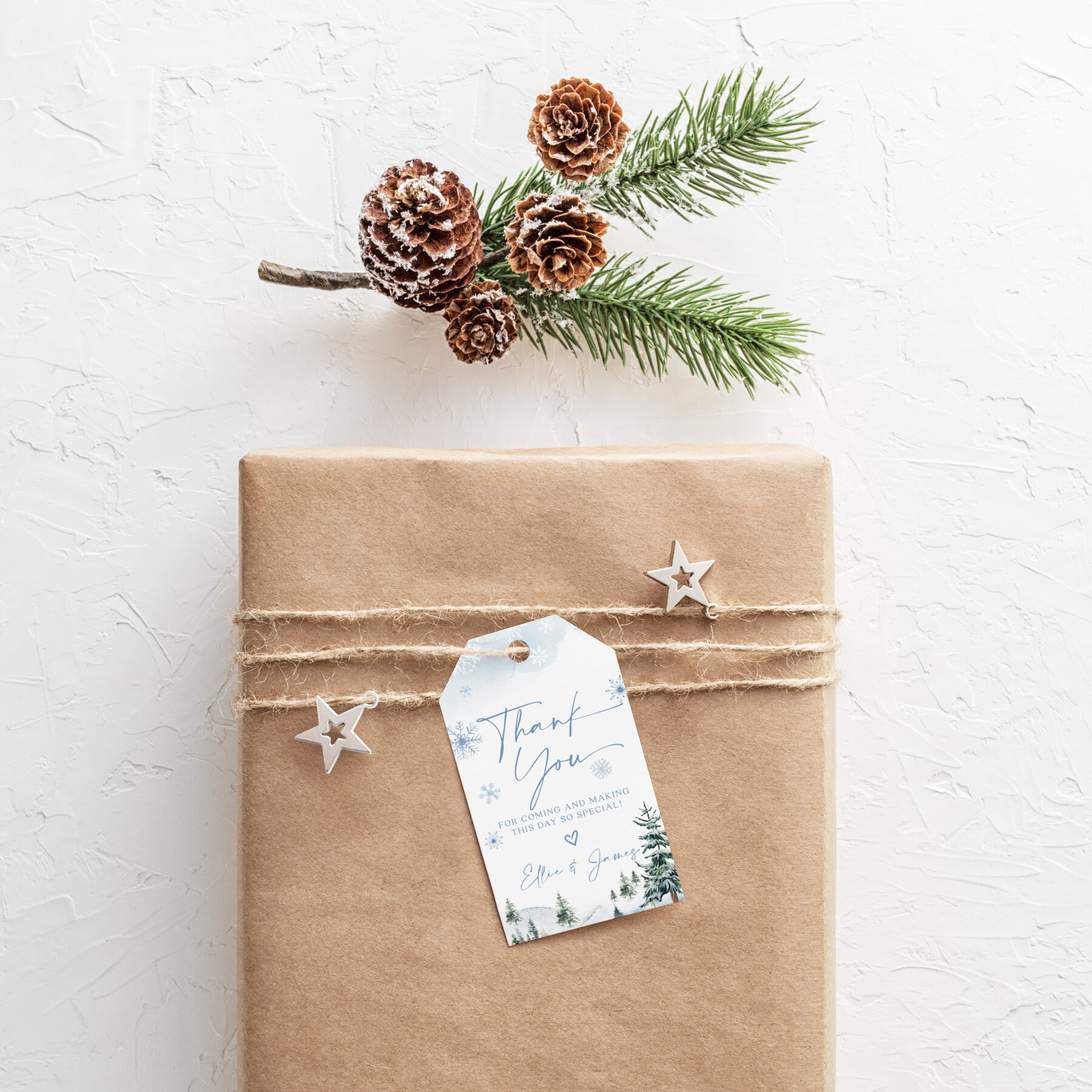 Blue Winter Favor Tags - Canva Template shown in a styled product mockup.